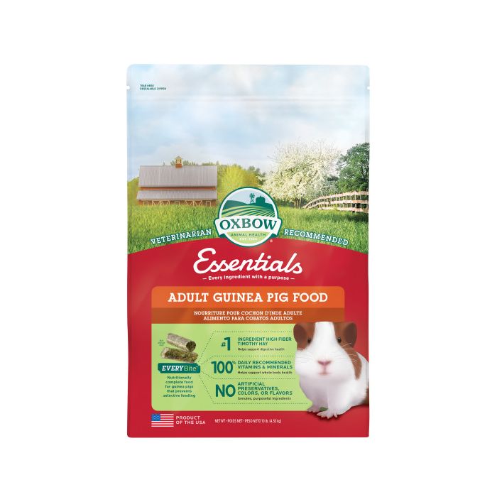 Adult guinea pig food shop