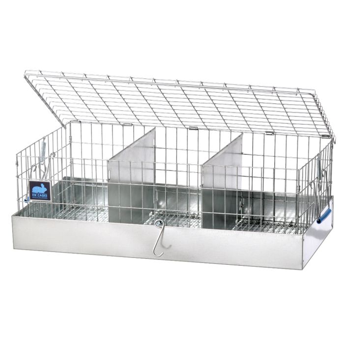 24 x 12 x 8 Cavy Transport Cage, 3 Comps.