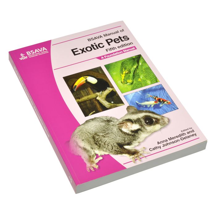 Most affectionate exotic pets cheap