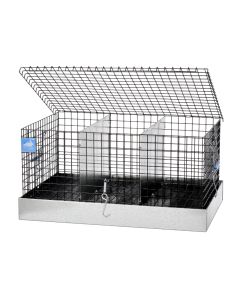 24 X 16 X 12 PVC TRANSPORT CAGE, 4 COMPS. (8X12)