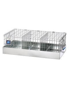 24 x 12 x 8 Cavy Transport Cage, 3 Comps.