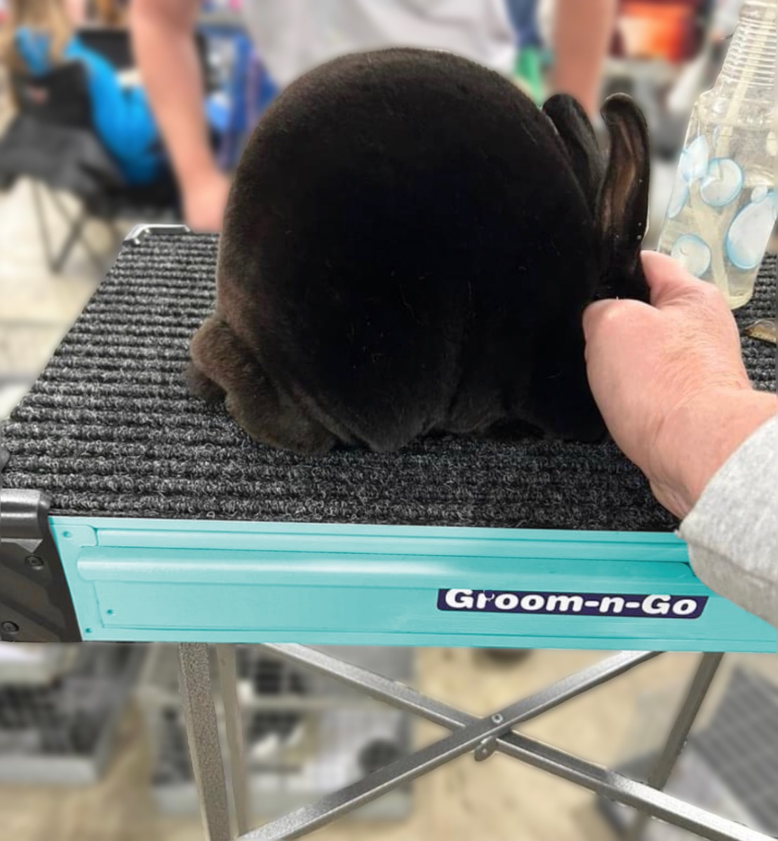 Groom-N-Go ™ Pro, Tranquil Blue