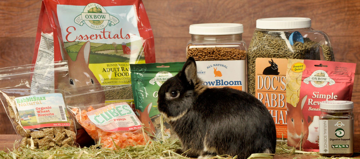 baby bunny supplies