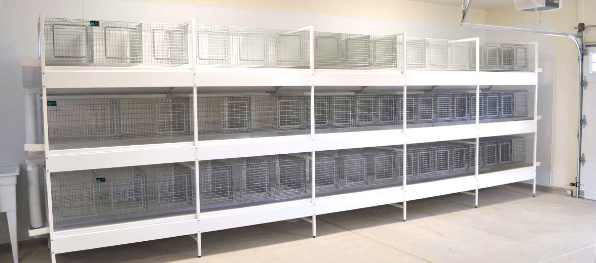 commercial rabbit cages